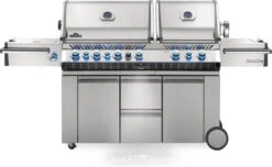 Napoleon Prestige PRO 825 Portable Grill On Cart
